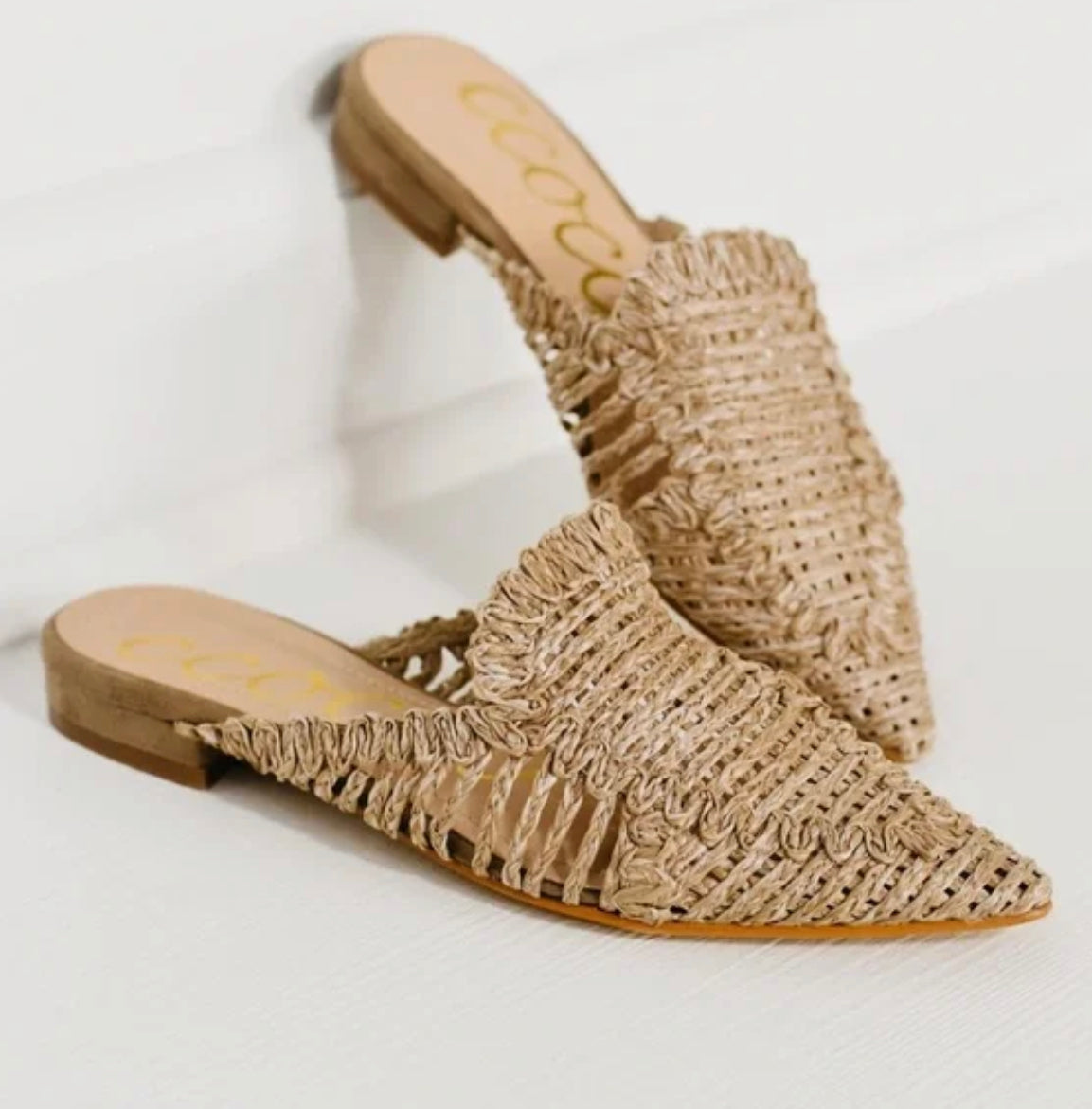 Monaco Raffia Pointy Mules