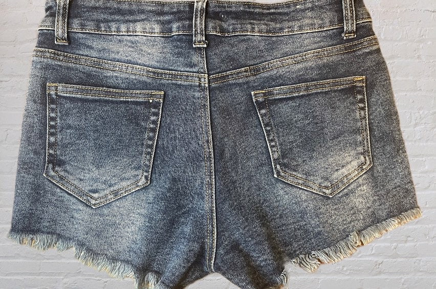 The Dark Distressed Shorts